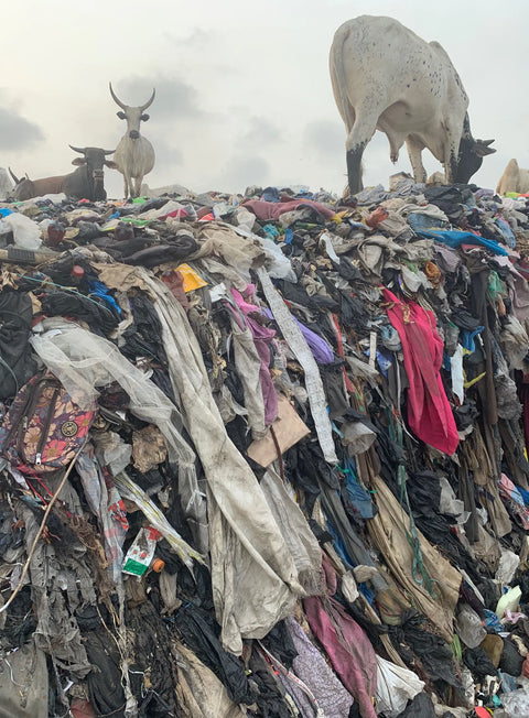 HyperNatural is Part of "The Great Textile Shift" to Bio-Materials